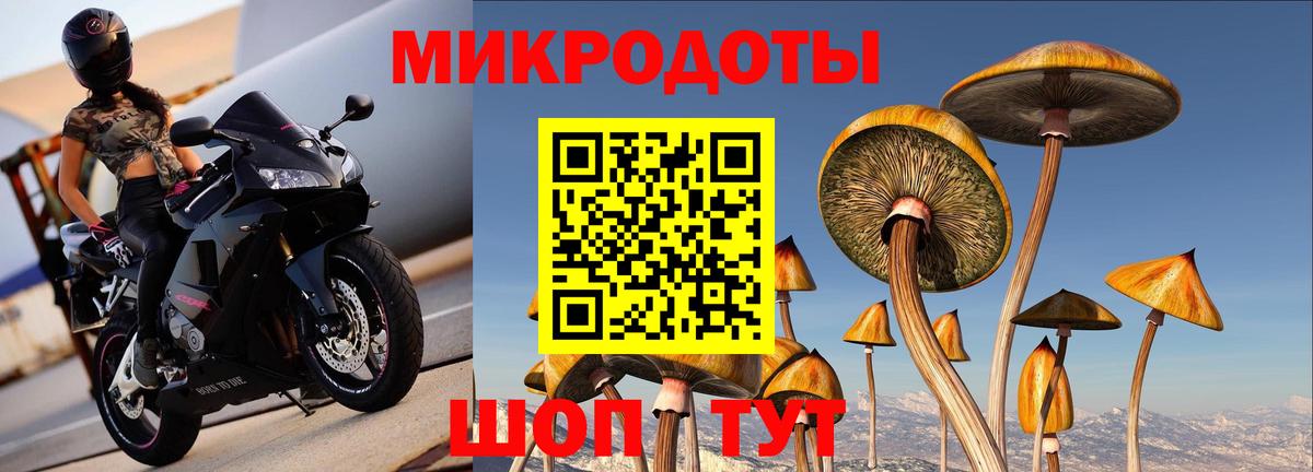 Псилоцибиновые грибы мухоморы Кудрово
